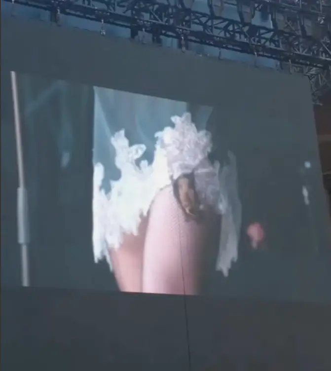 The bat landed on her leg during the performance. (Instagram /taylormomsen)