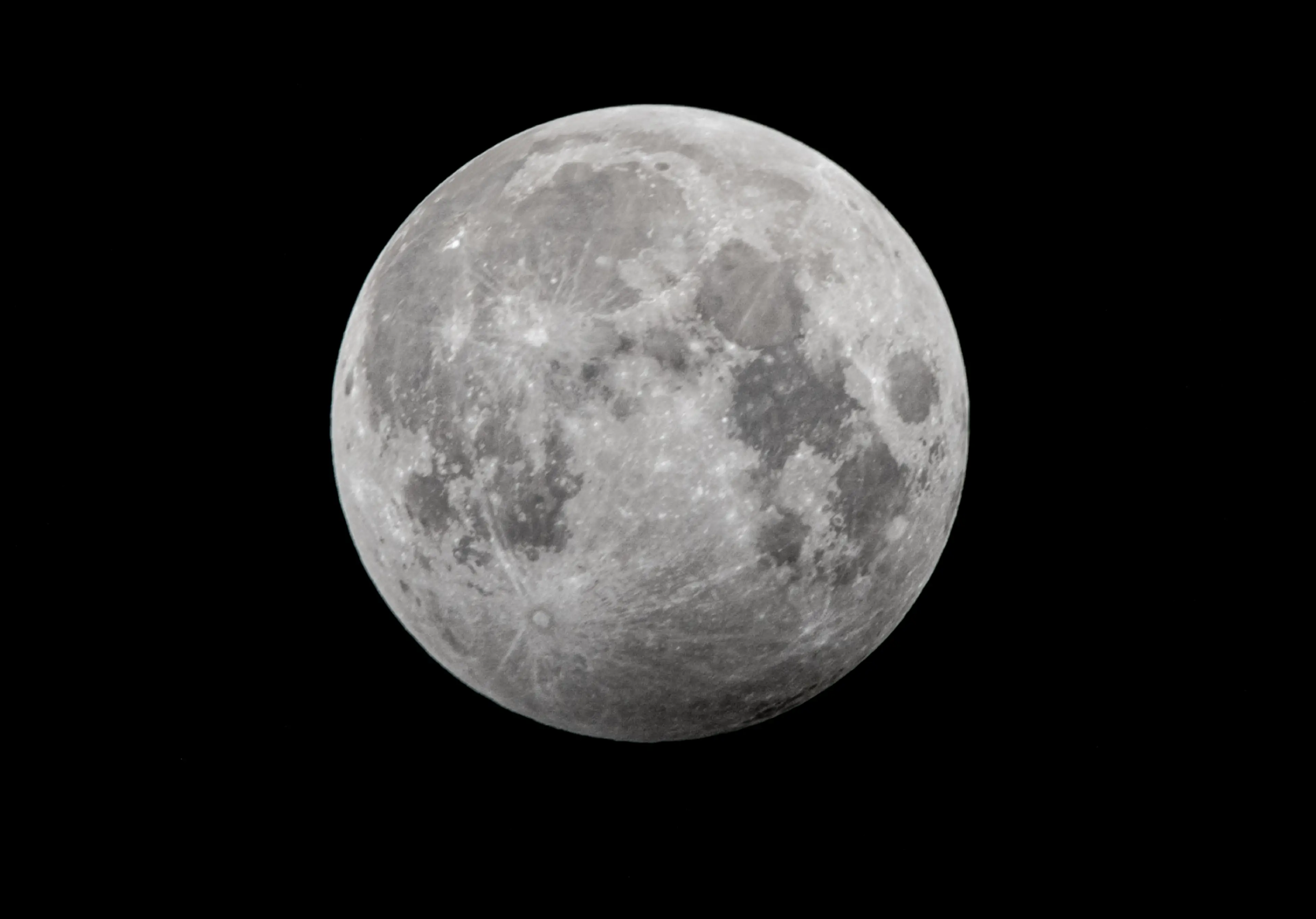 Plants growing on the moon? It could be possible soon.