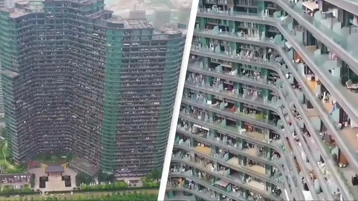 TikTok/@fatheristheone