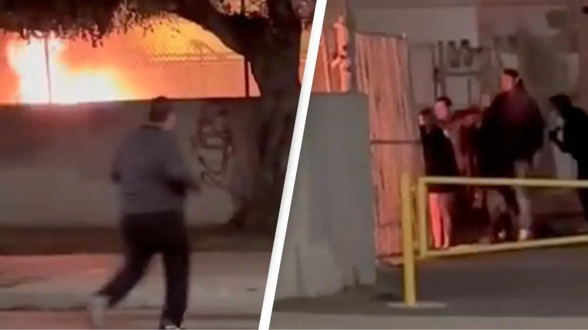 Twitter/@hubermanlab