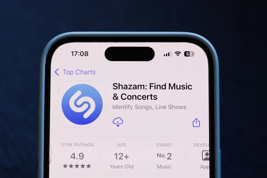 Apps like Shazam couldn't identify the song (Jakub Porzycki/NurPhoto via Getty Images)