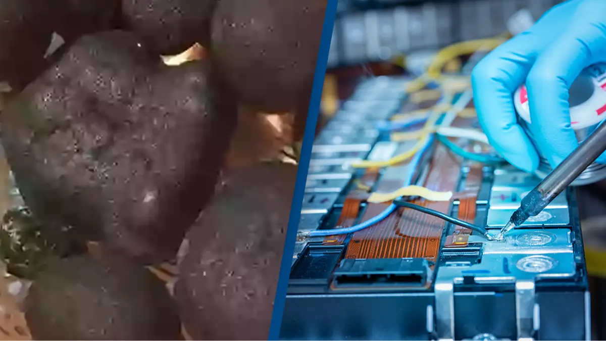 The Nippon Foundation/Fahroni/Getty Images