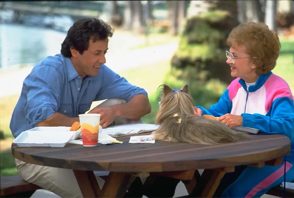 Stallone resented starring in the 1992 buddy comedy.