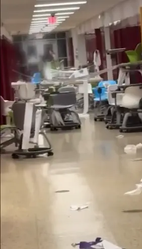 A criminal investigation has been launched (ABC)