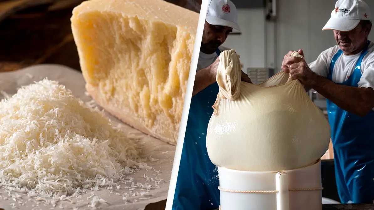 People are just learning how parmesan cheese is made and it's leaving them devastated