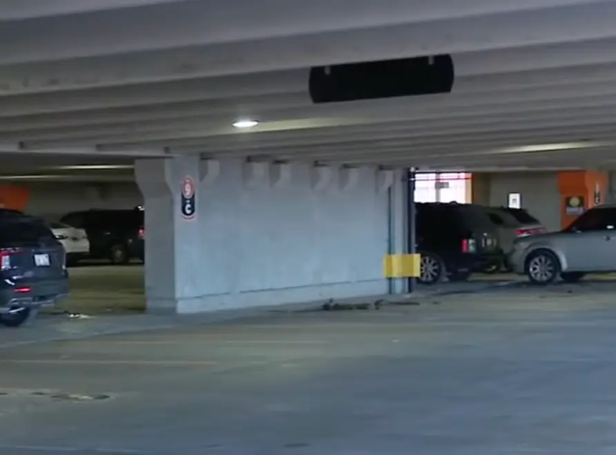 The mom was with her five children in the parking garage (Fox 2 Detroit)