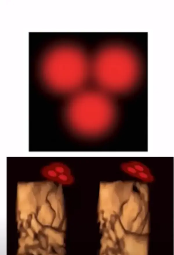 "Even before we're born, even before we've met anyone, we are already looking for other people."