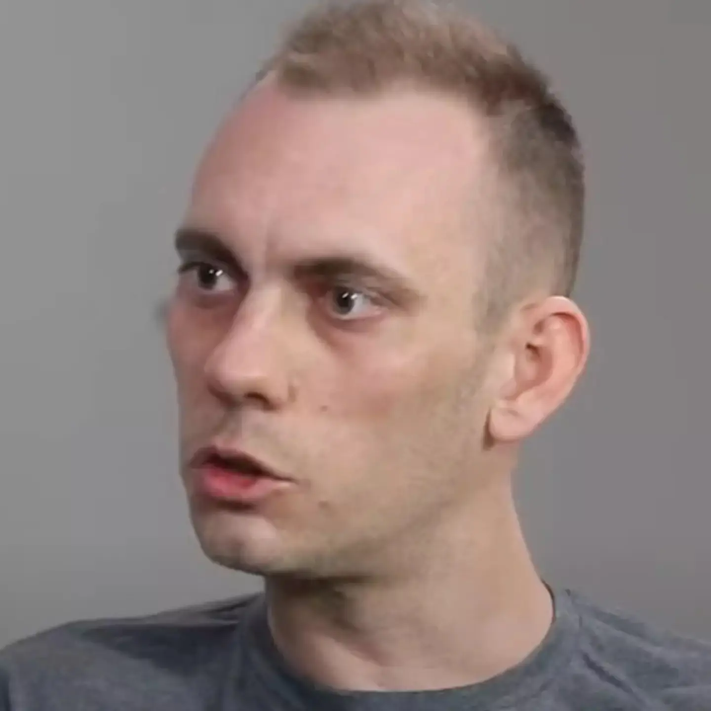 The Flat Earther appeared on a podcast (YouTube)