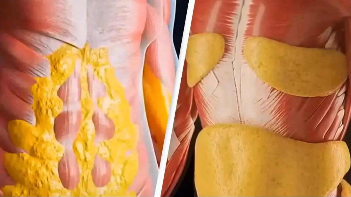 YouTube/Wellness Wise