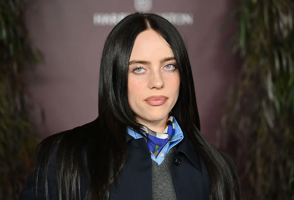 Billie Eilish has called for millionaires and billionaires to donate their money (ANGELA WEISS/AFP via Getty Images)