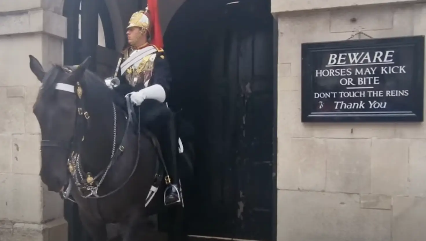 Tourists are warned of the horses on a sign. (YouTube/@busk1976)