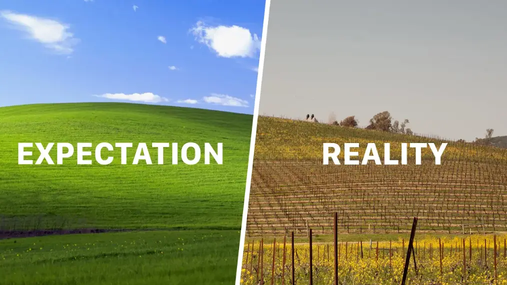 The YouTubers were shocked at the difference.