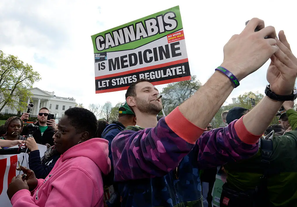 Nearly all US states allow 'medical use' of marijuana (MIKE THEILER/AFP via Getty Images)