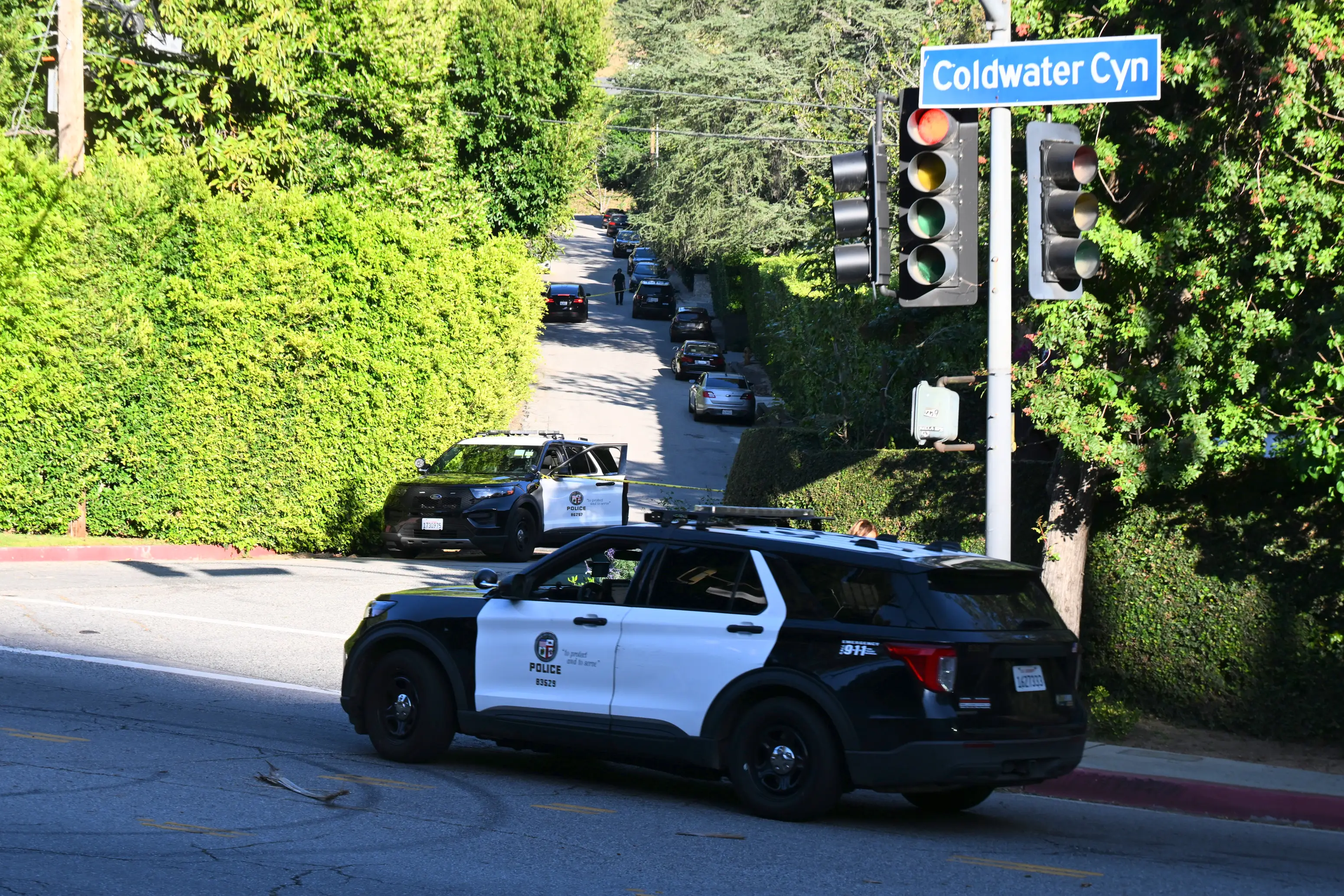 Police responded to reports of an incident (DUTCH/Bauer-Griffin/GC Images)