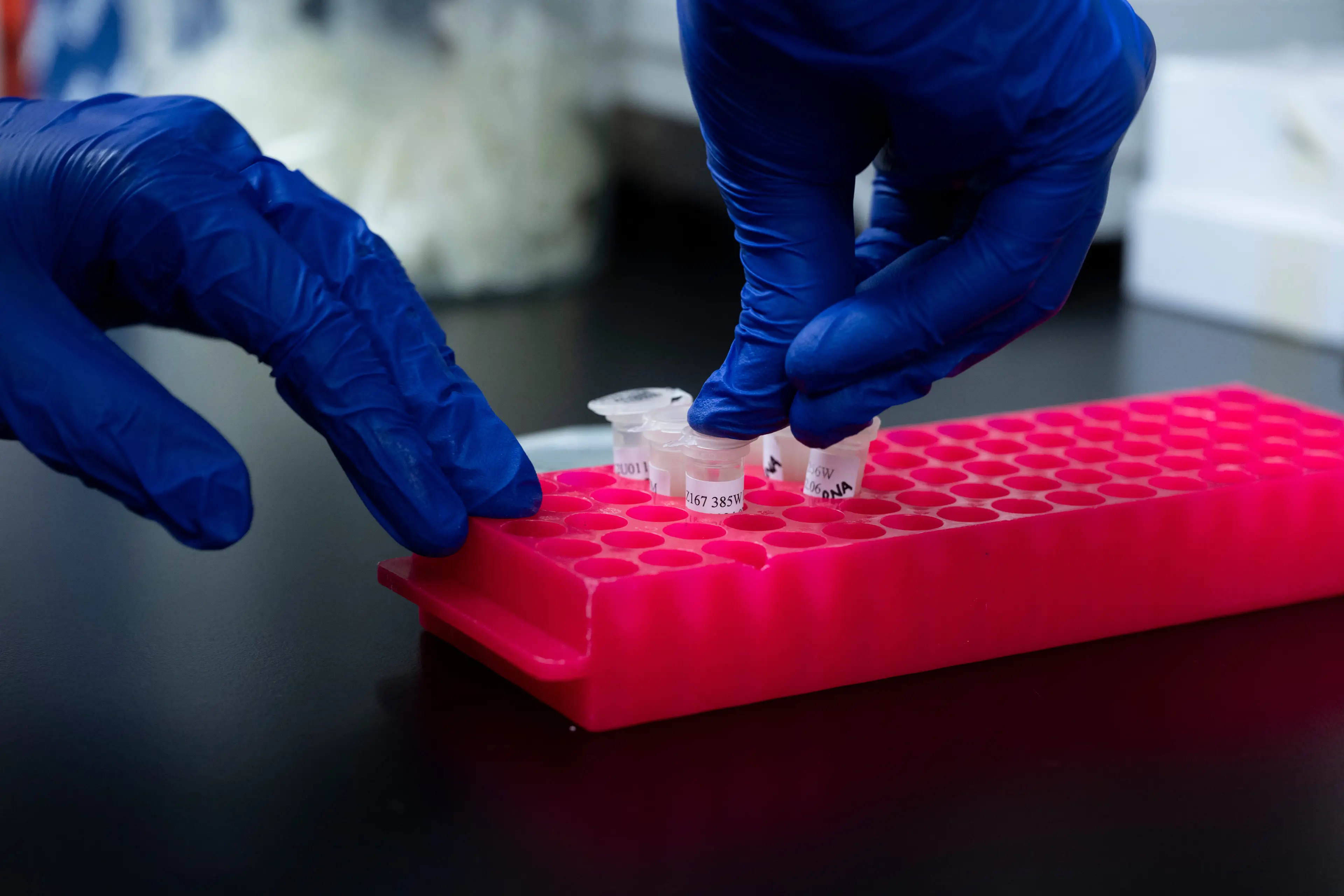 The study may just rewrite modern human history (Getty Stock Photo)