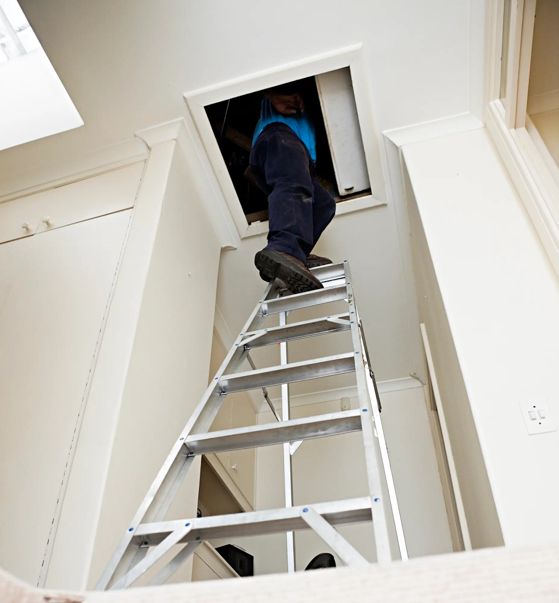 Do you really know what lurks in your attic... (Getty Stock Image)