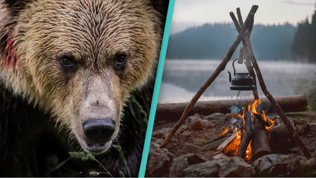 These are the common survival tips that will actually get you killed