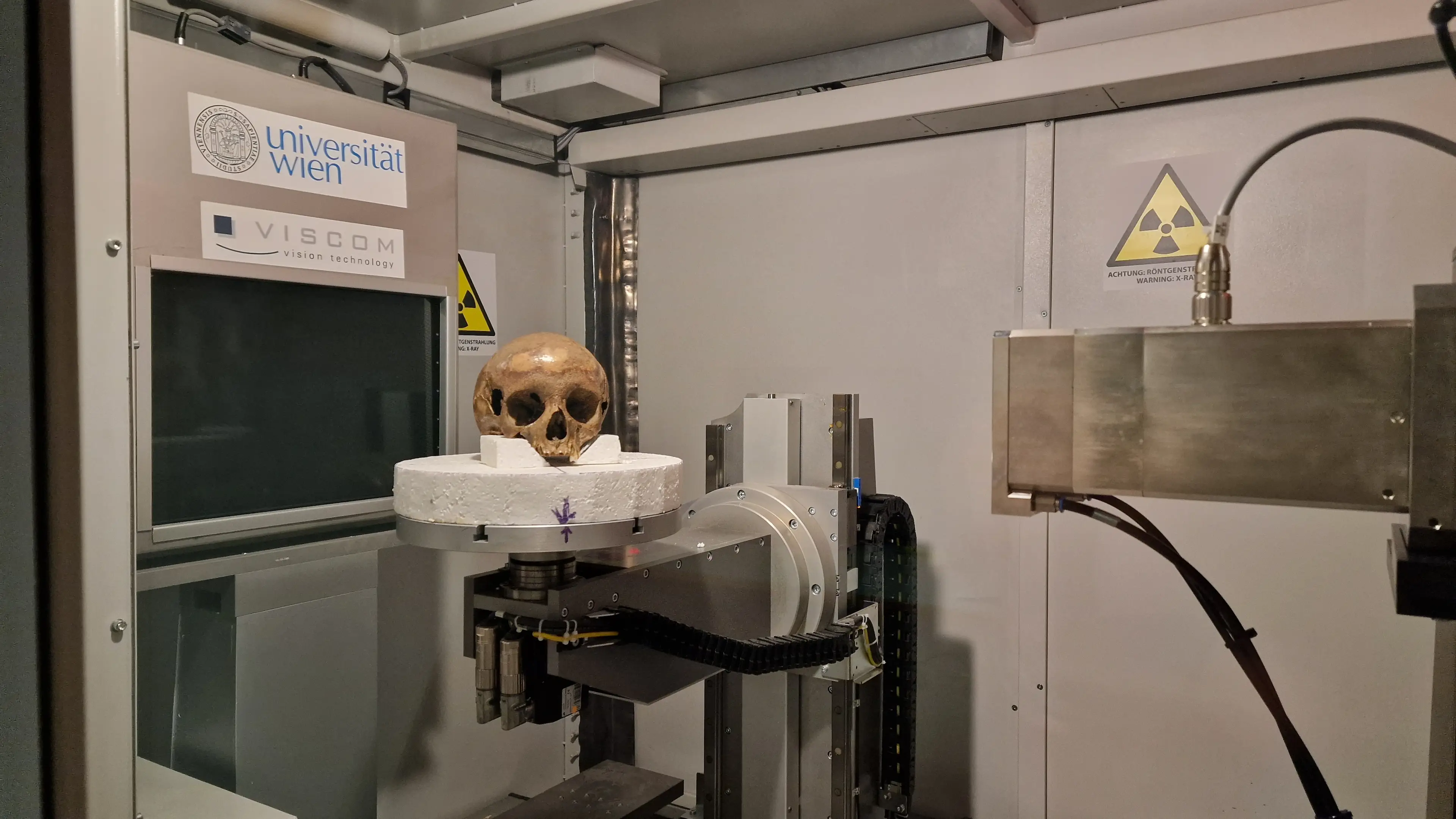 The skull going into the Vienna Micro-CT Lab (Gerhard Weber, University of Vienna)