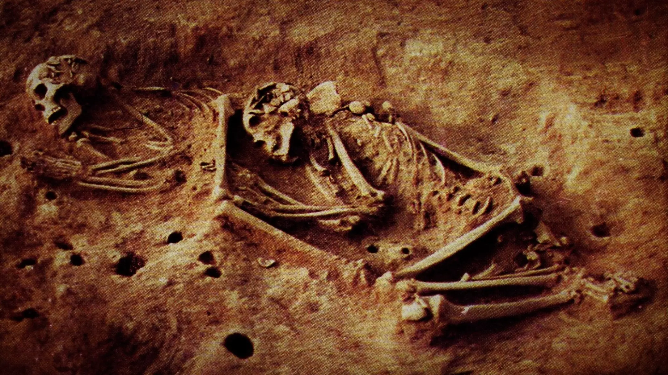 Ana Maria Groot/Universidad Nacional de Colombia