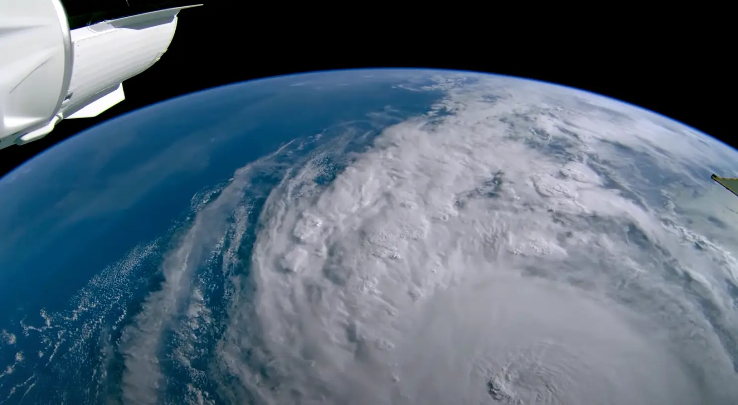 Sen's livestream is free to watch (Sen)