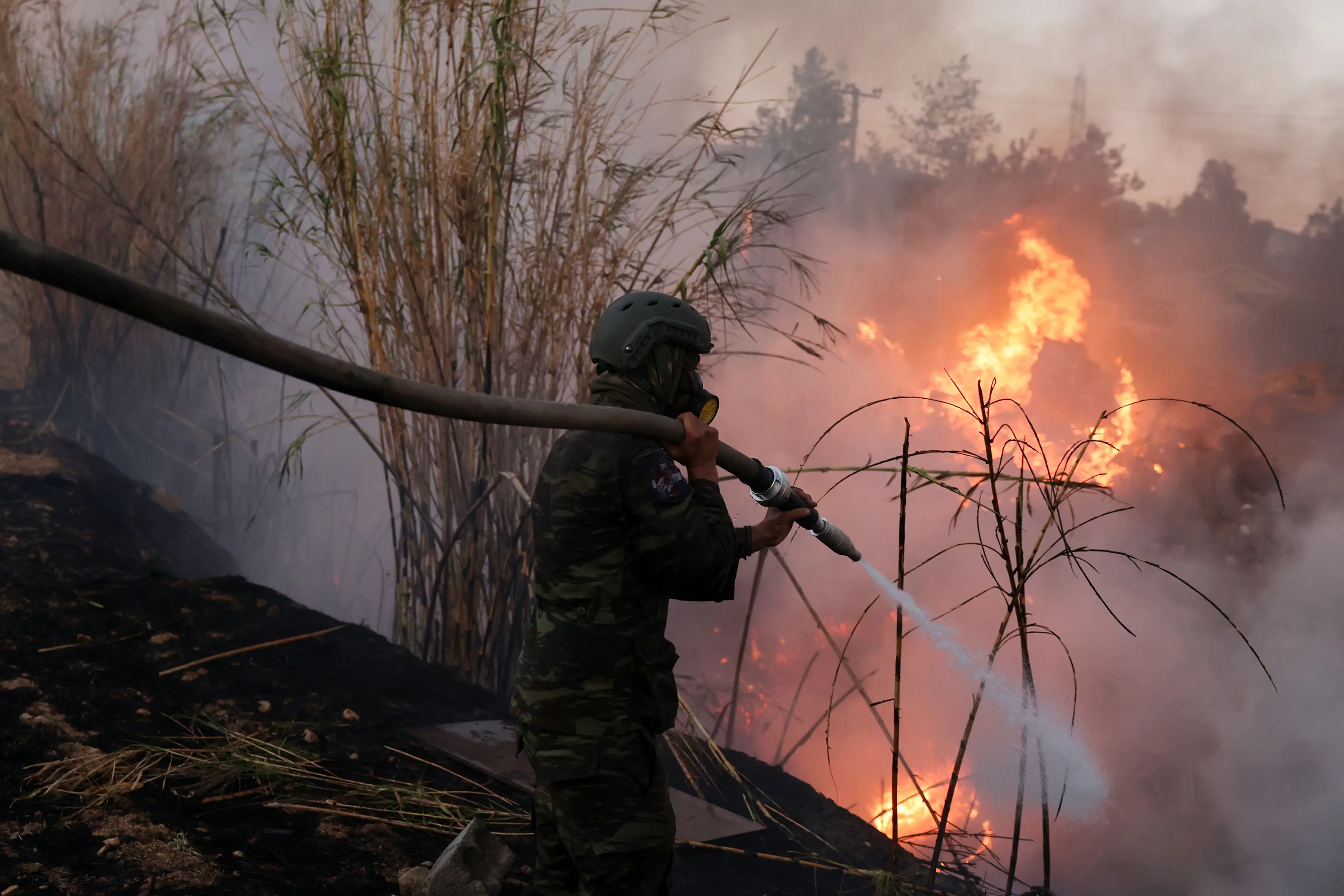 Fires have seen thousands of people evacuated in Greece (stock image) (Costas Baltas/Anadolu via Getty Images)