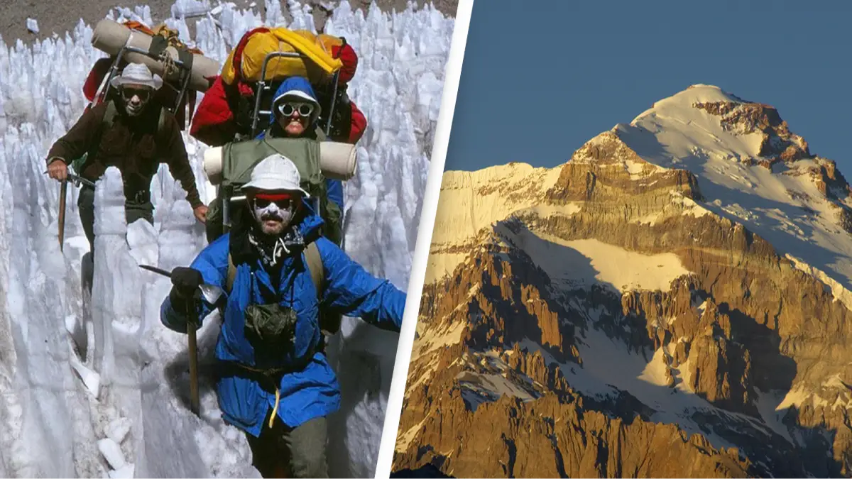 John Shelton / Getty Stock