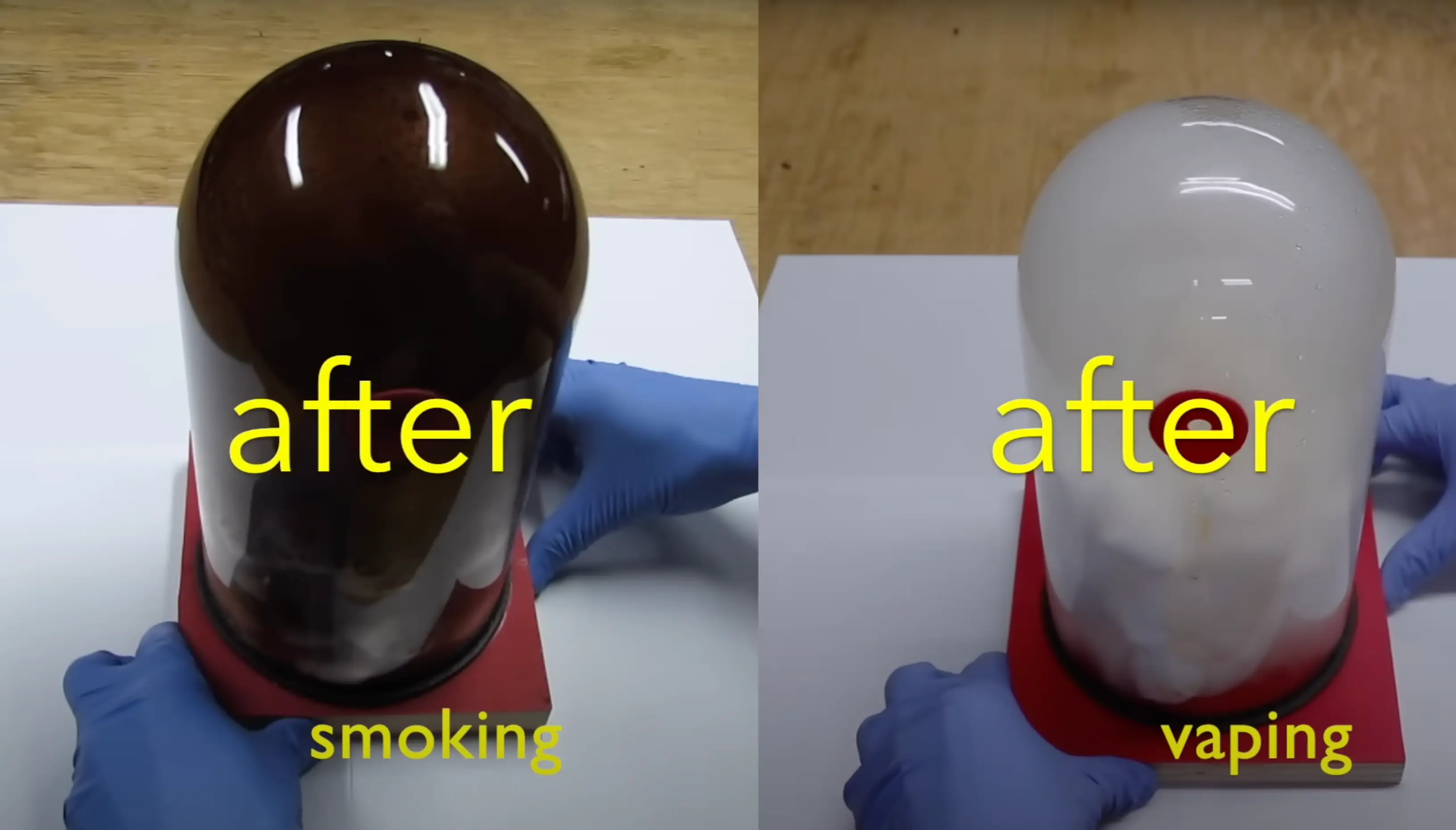 The results of the experiment were shocking and will leave smokers feeling queasy (YouTube/Chris Notap)