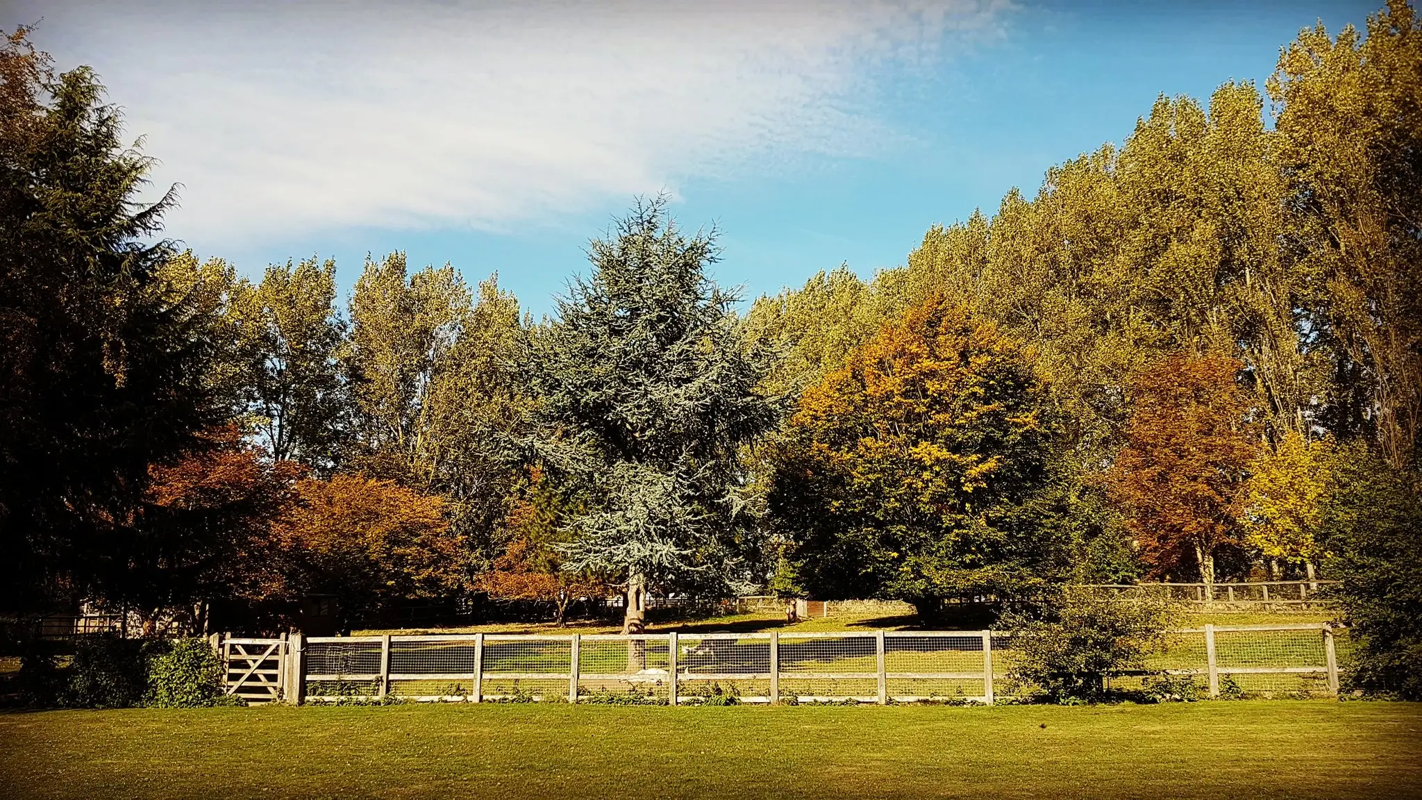The incident took place about 6.45pm on Friday 25 August at Horsley Hale Farm.