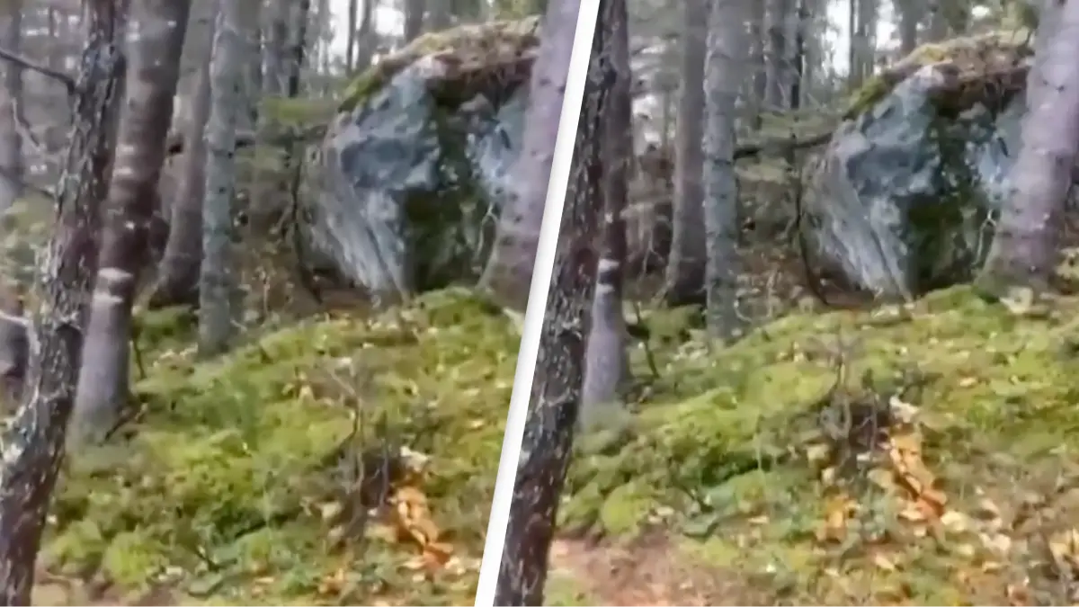 People shocked as forest floor starts creepily 'breathing' in eerie video