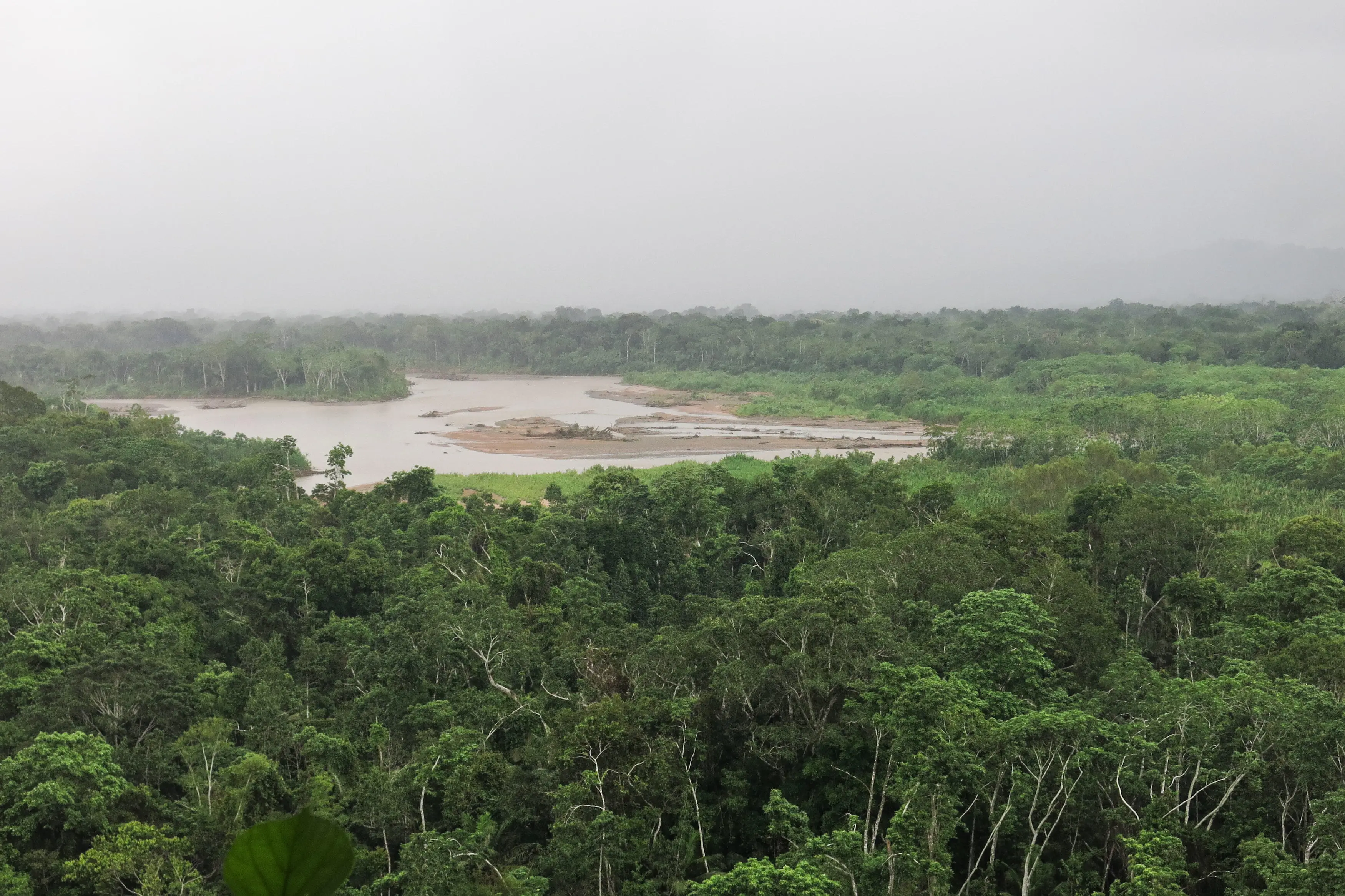 The 30-year-old thought people had given up looking for him.