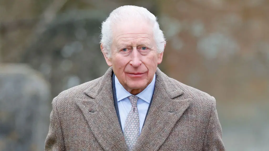 Max Mumby/Indigo/Getty Images