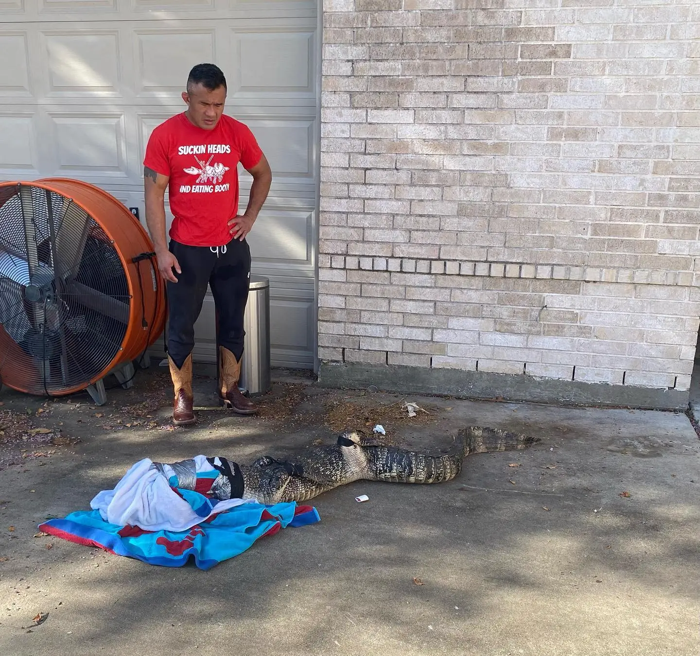 Mike Trinh managed to subdue the alligator.