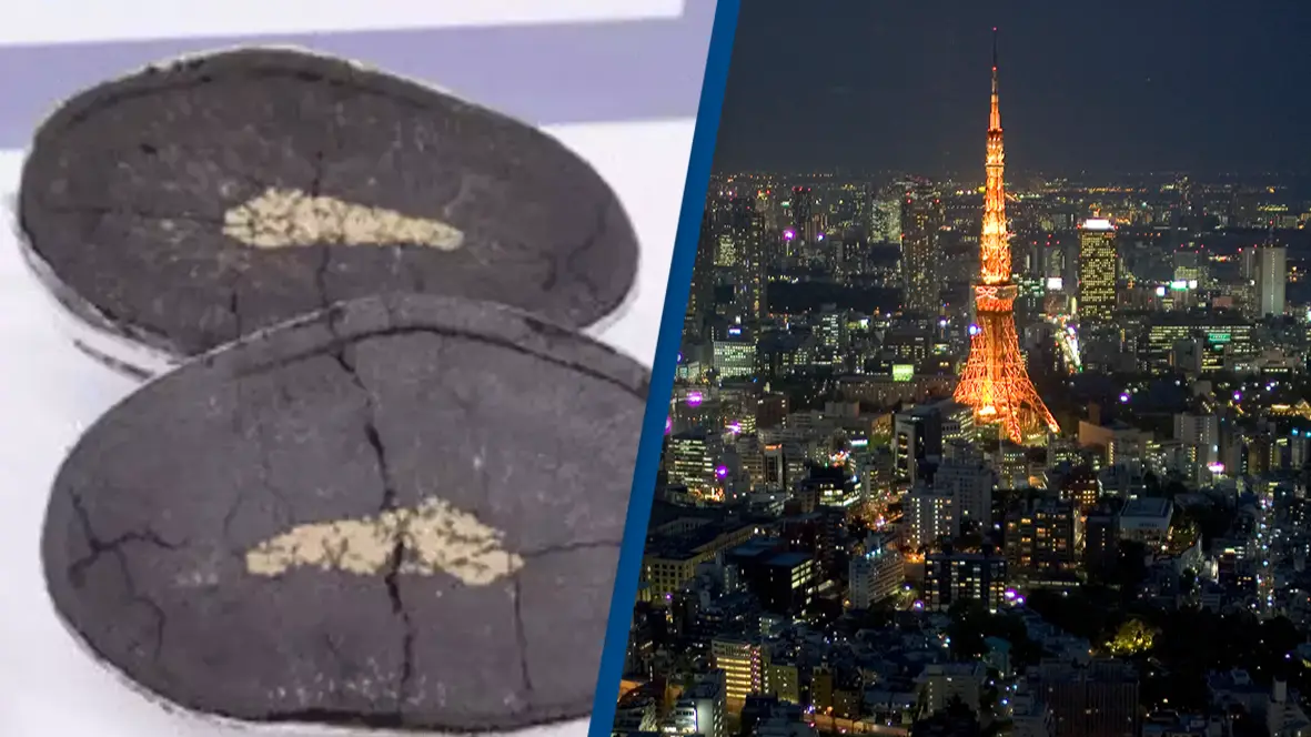 The Nippon Foundation/James Leynse/Corbis via Getty Images