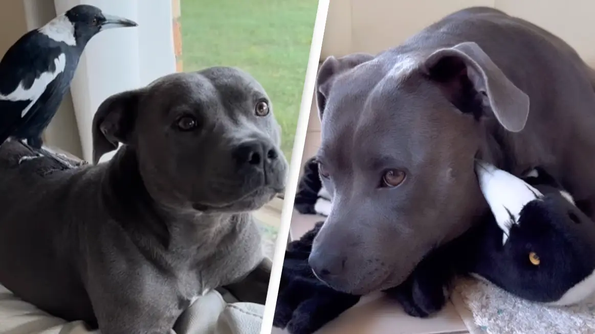 Instagram/@peggyandmolly