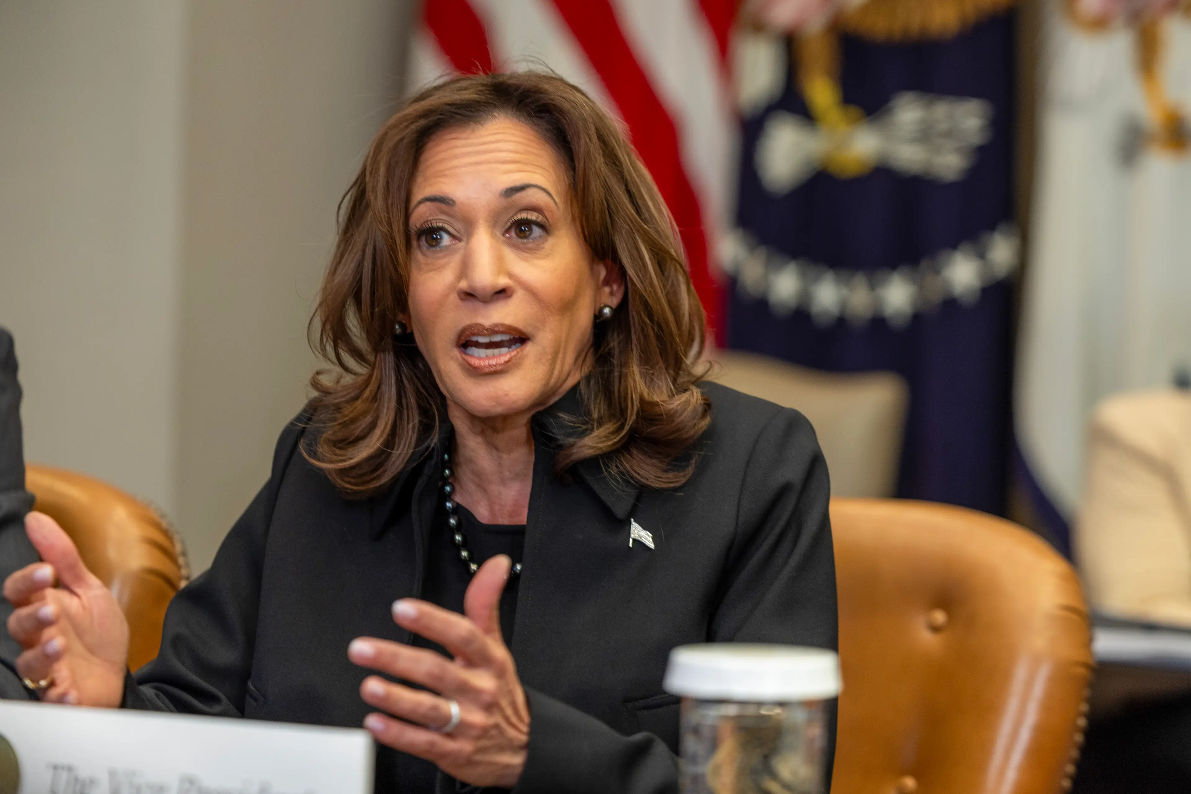 Many have spotted an awkward detail from a recent Kamala Harris social media post (Tasos Katopodis/Getty Images)