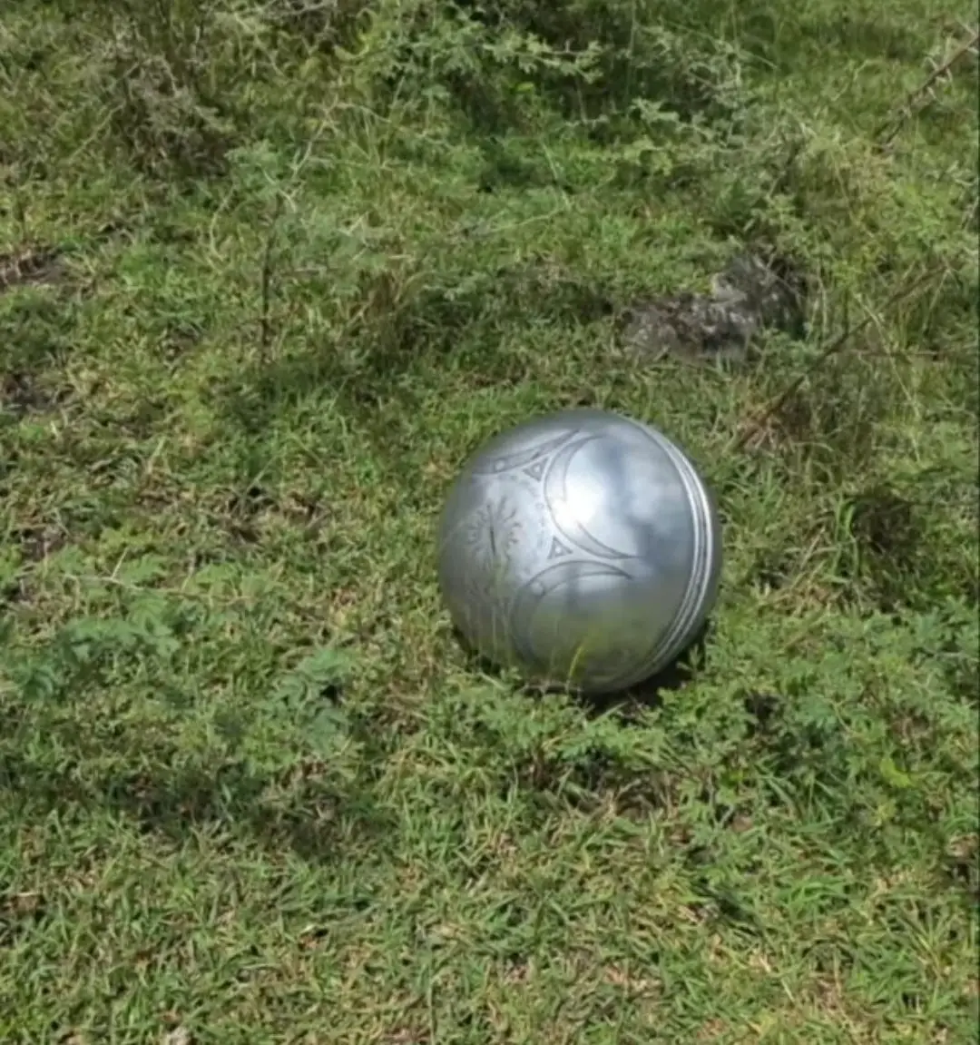 The Buga Sphere is proving controversial (Twitter/@truthpolex)