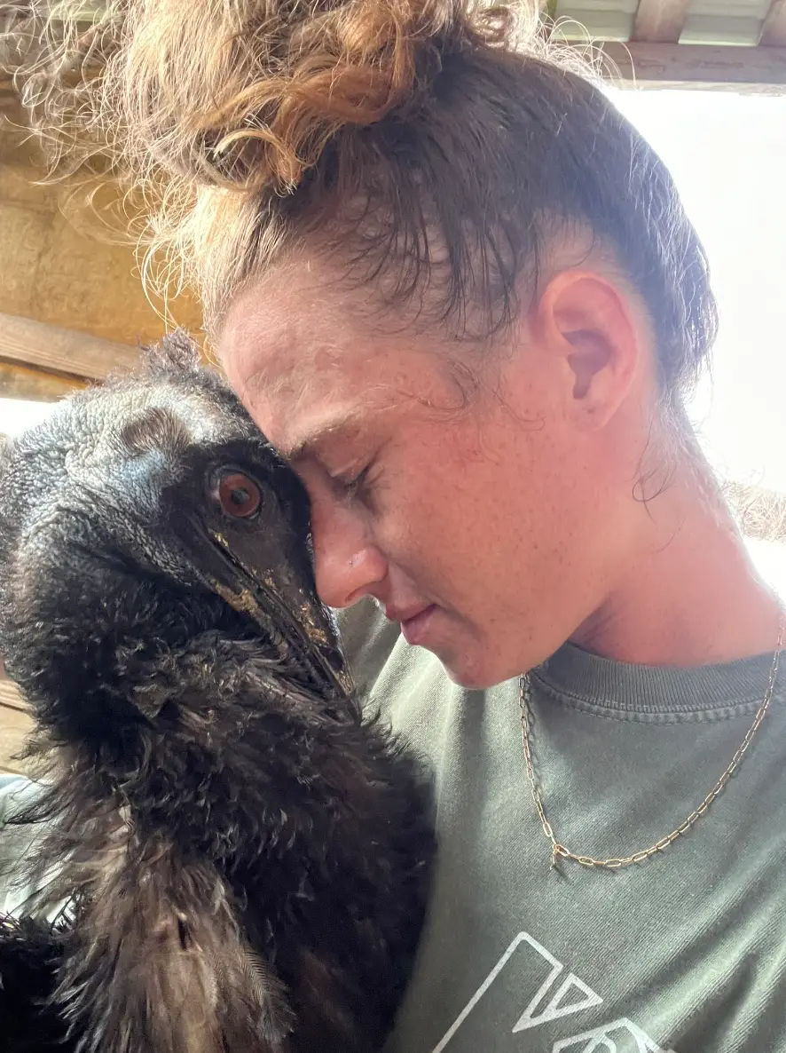 Experts feared Taylor got too close to Emmanuel when he was sick.