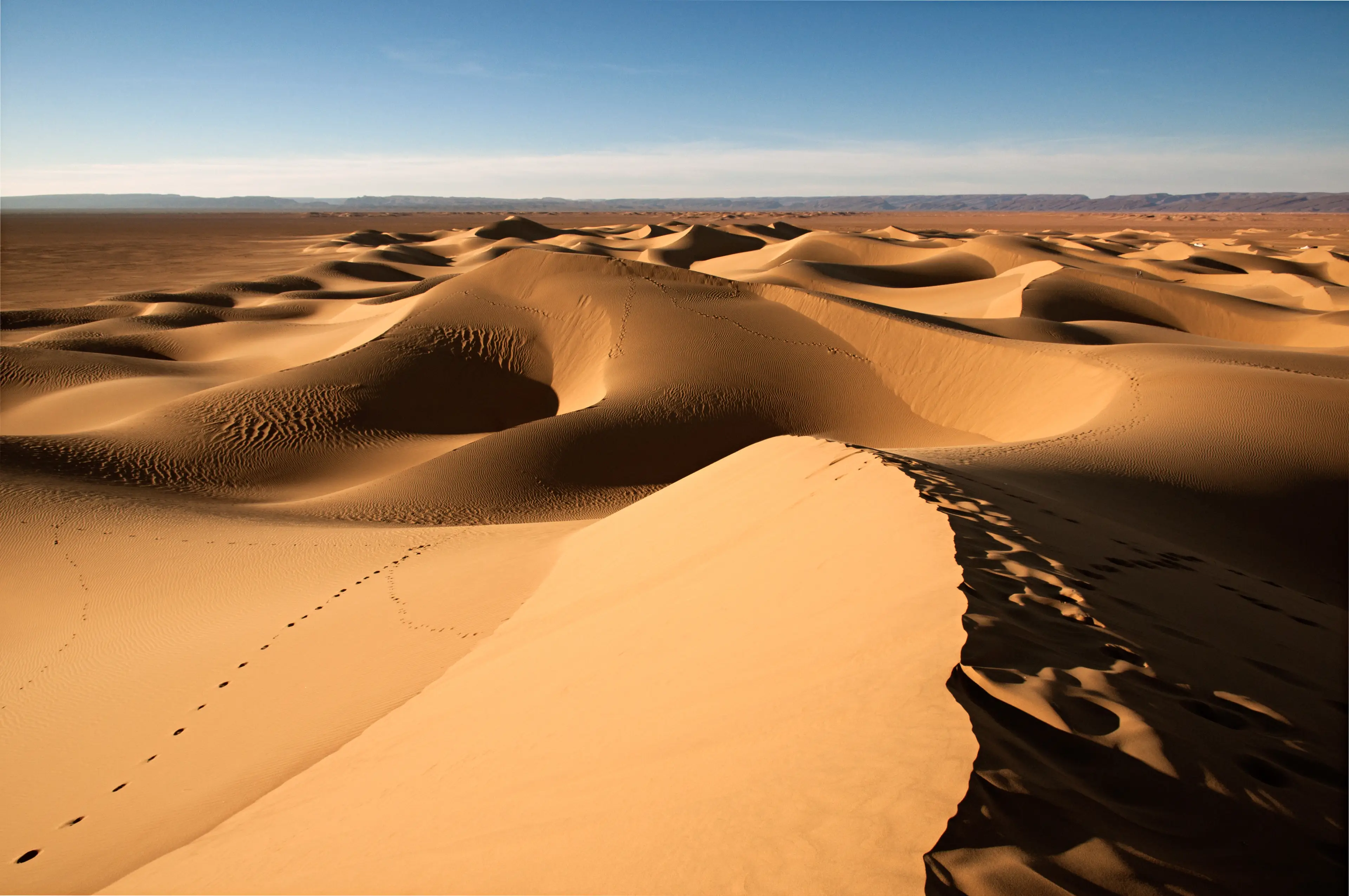 Climate destruction could wipe out life on Earth as we know it (Photo by Raquel Maria Carbonell Pagola/LightRocket via Getty Images)