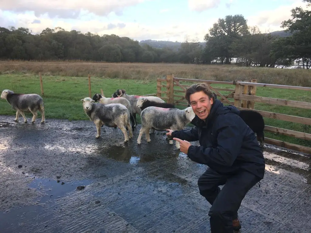 The participants took care of animals on the farm.