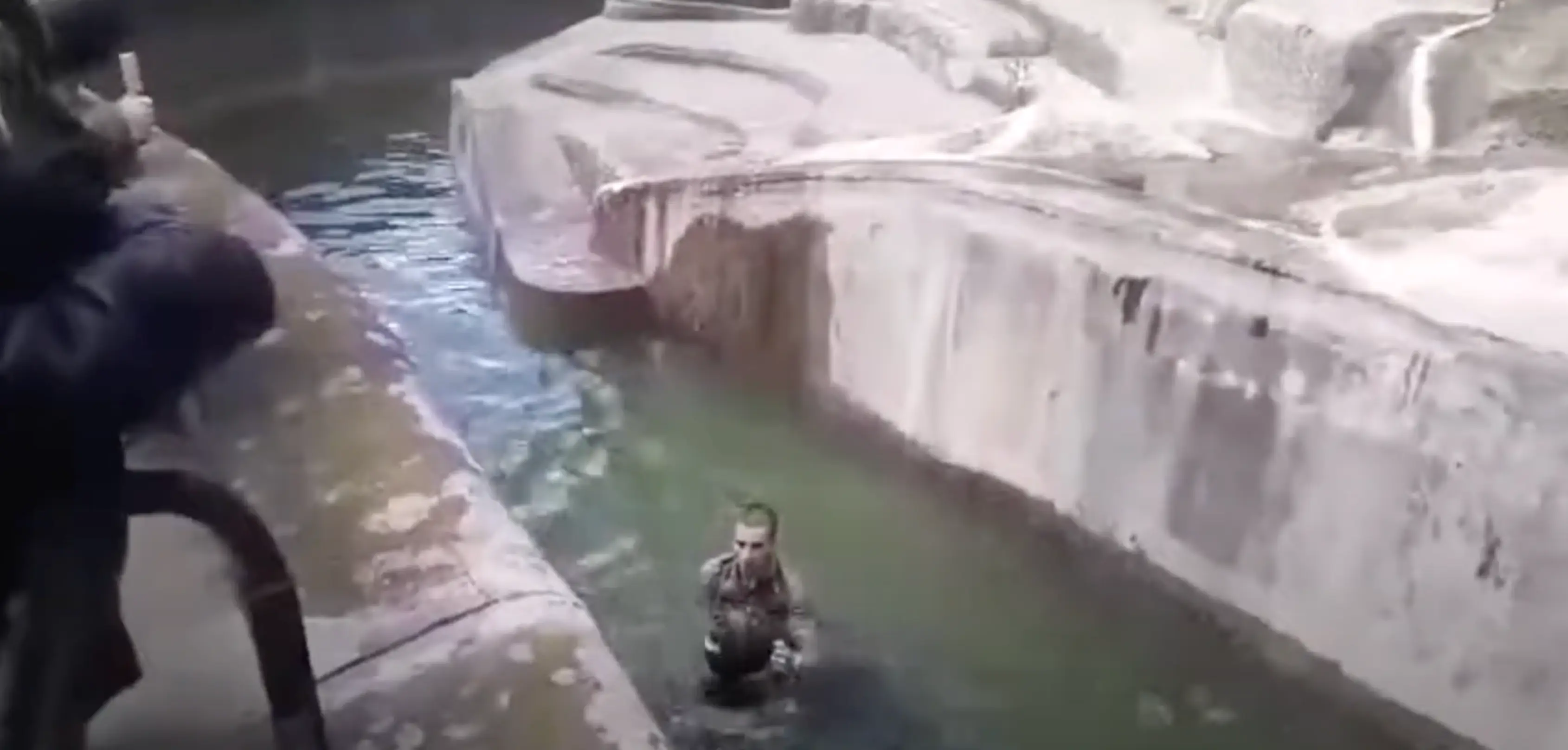 The unnamed 23-year-old wrestles the bear in the water (X/wnukers)