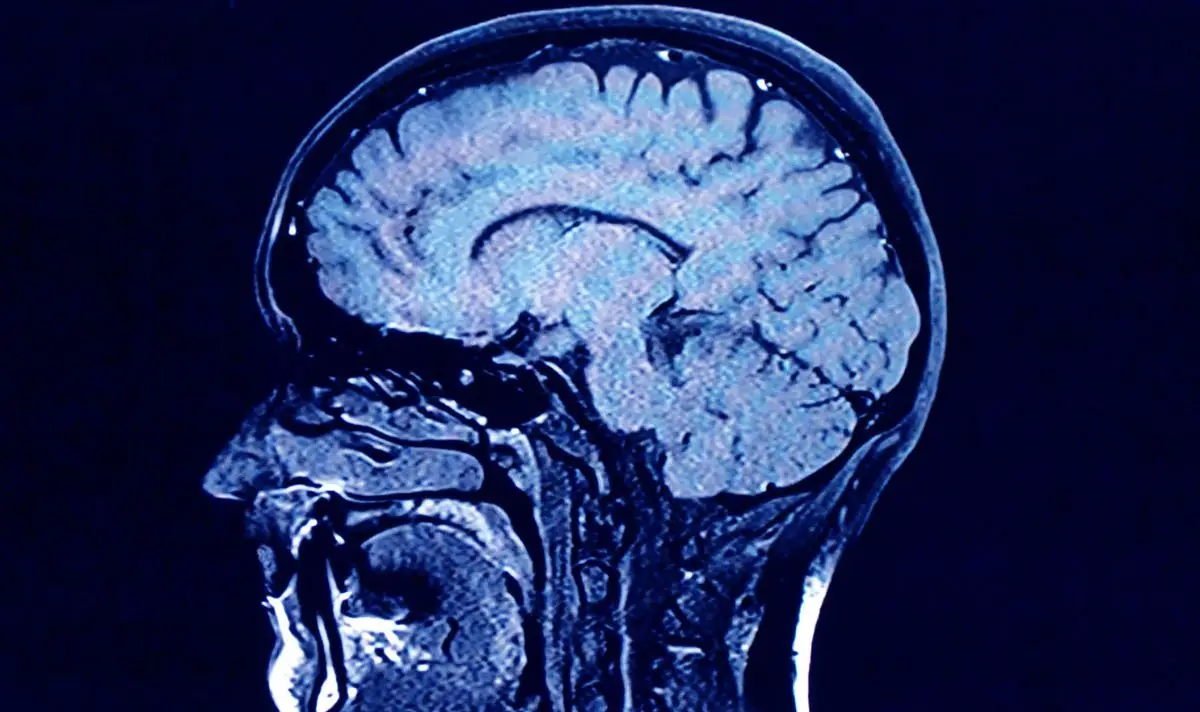 Around 15-20 percent of the population are considered highly sensitive (Getty Stock Image)