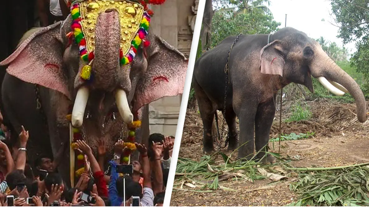 Manojk / Wikimedia Commons