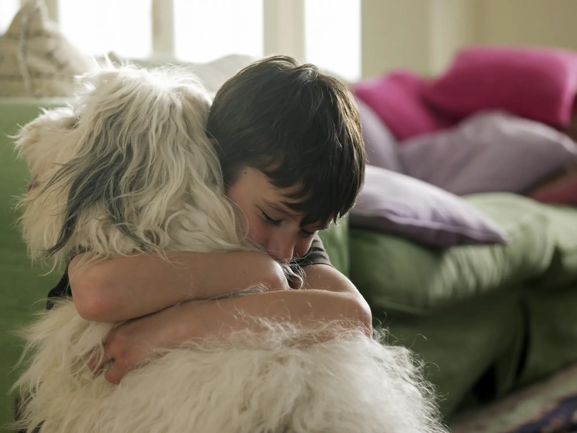 Hugs can make dogs feel anxious, according to experts. (Getty stock images)