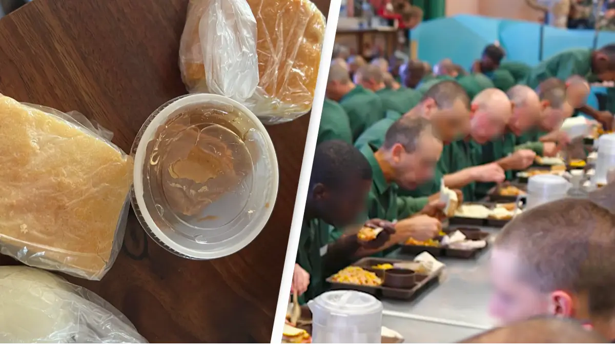 Reddit/@retrogradefoco/Reddit/@green____cat