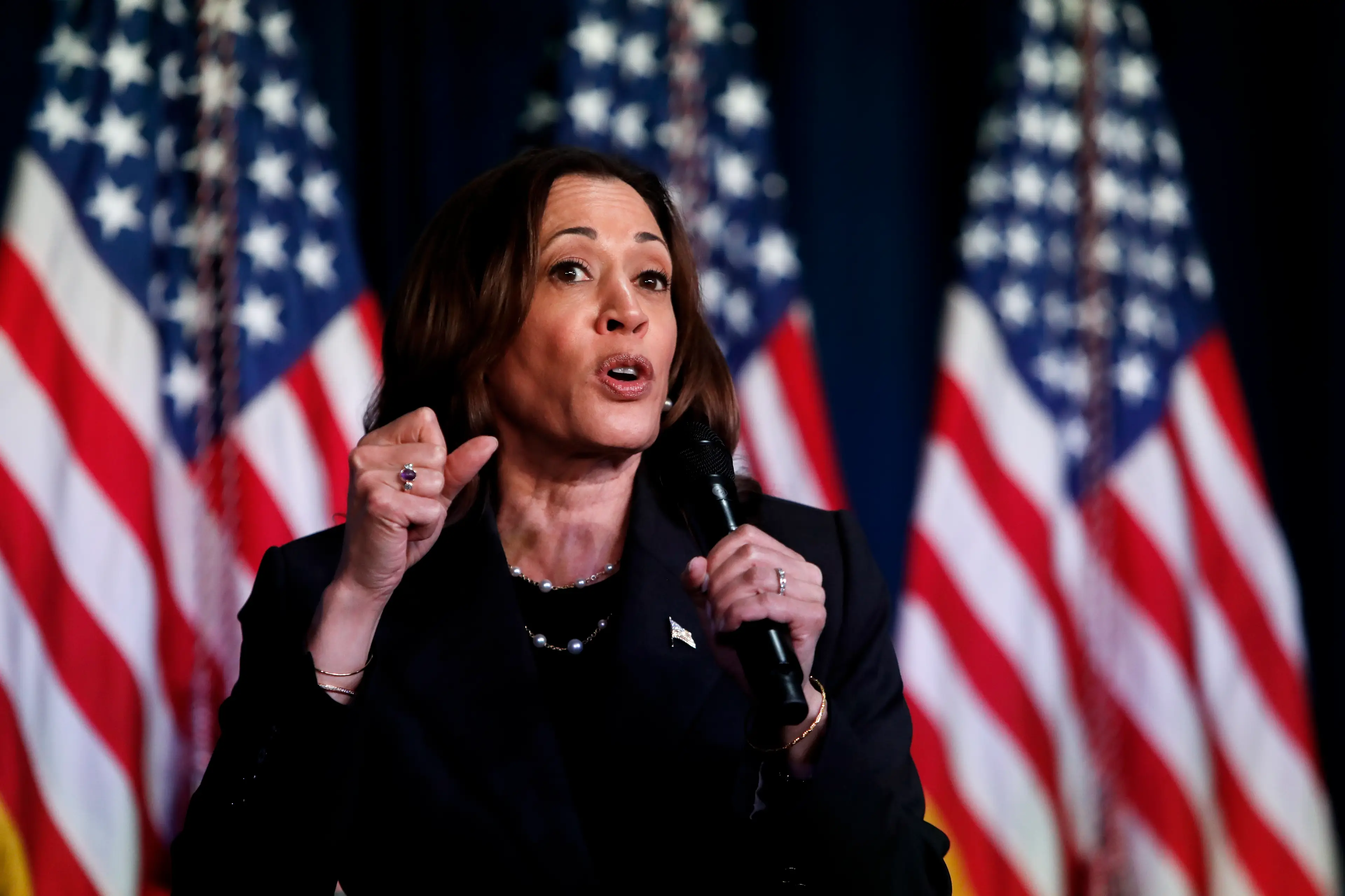 Kamala Harris said she was honored to have Biden's support.(Chris duMond/Getty Images)