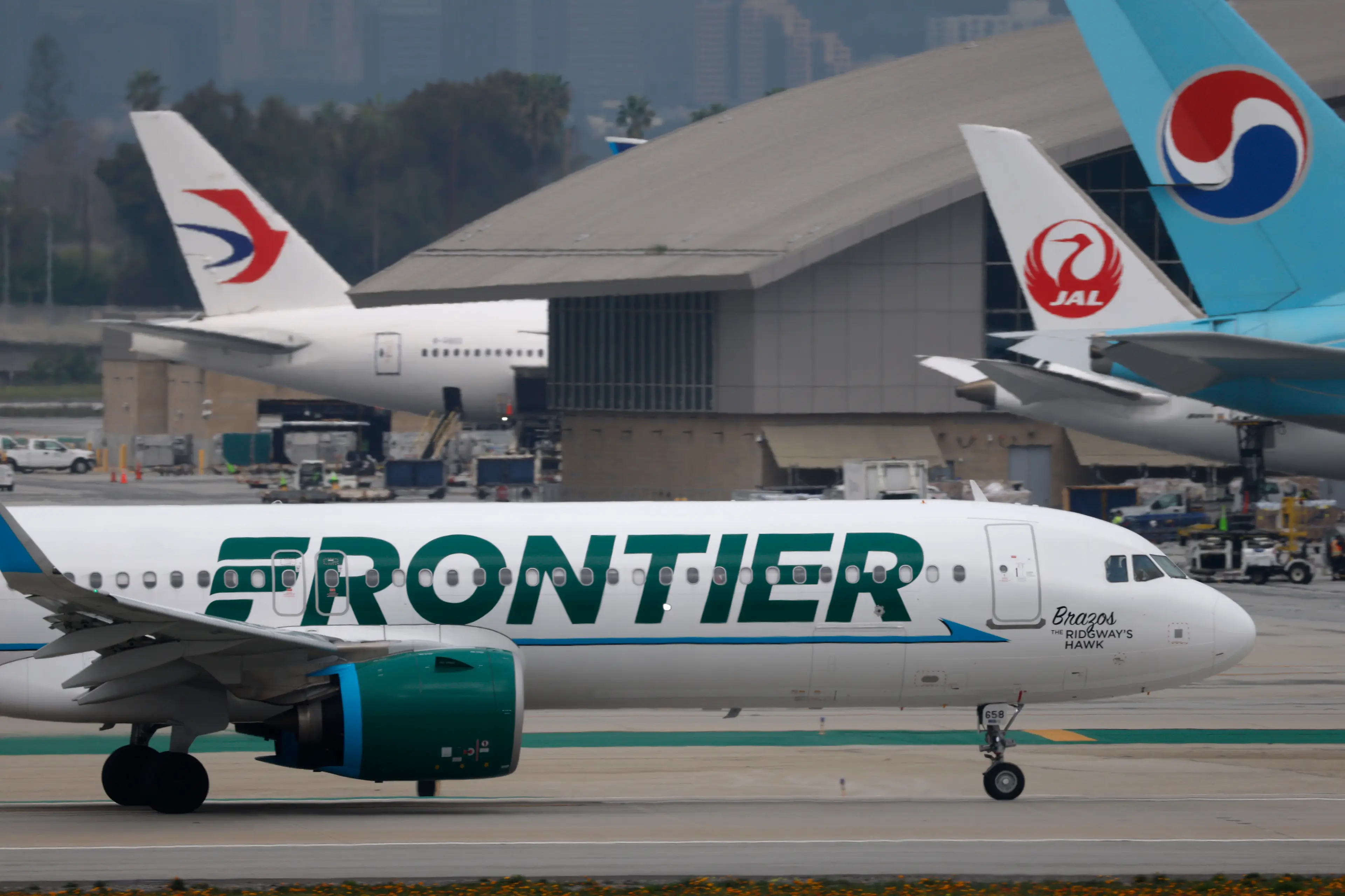 the airport has confirmed that the deceased person had jumped the perimeter fence (Kevin Carter/Getty Images)