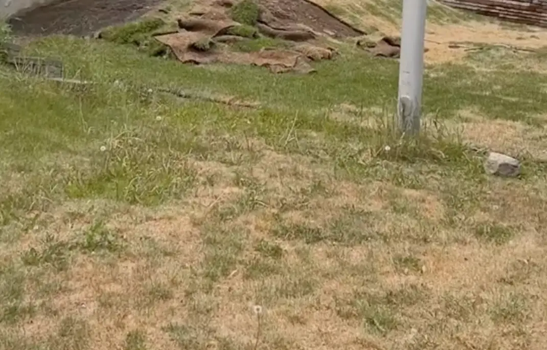 The landscaper got the ultimate act of revenge (TikTok/@kslicksix)