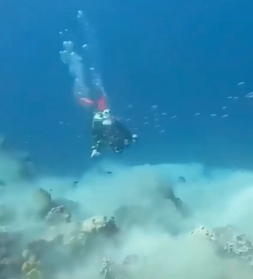 The video also claims that the earthquake magnitude was 7.2 (Literally_black1984/Reddit)