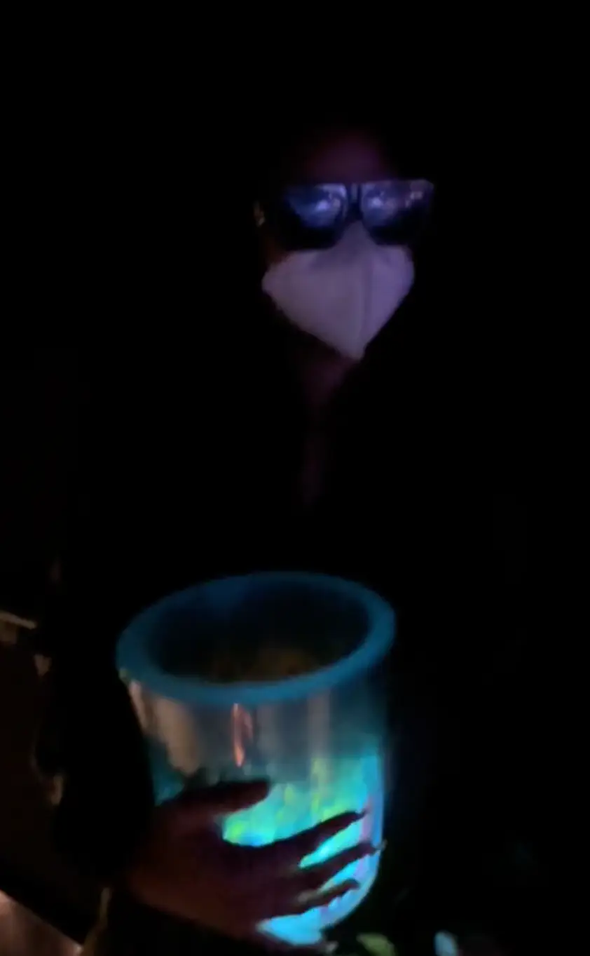 Halle Bailey watched the movie from inside the theatre.