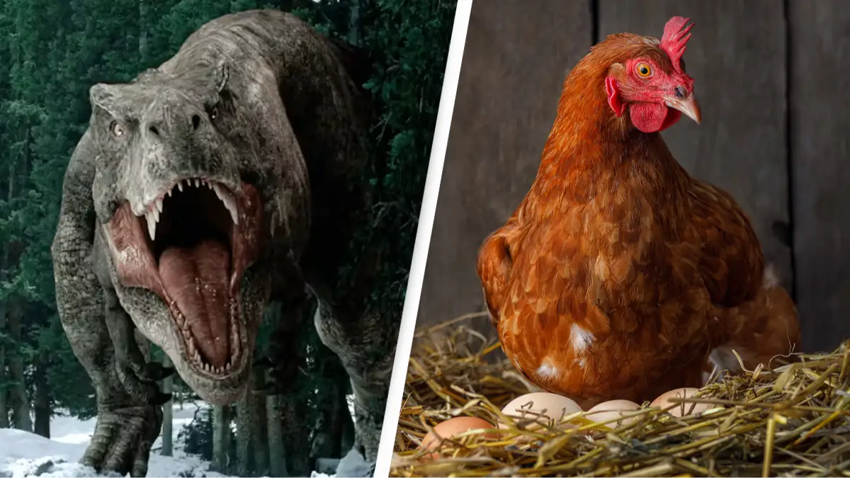 Universal Pictures/Getty Stock Image